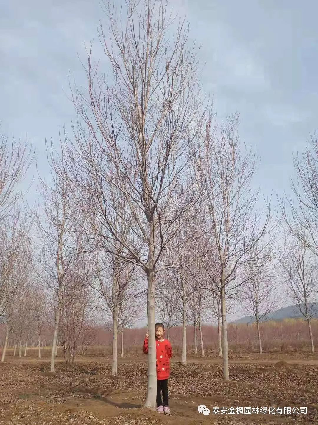 微信圖片_20230130101811 微信圖片_20230130101811